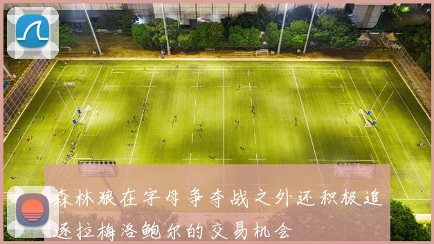 森林狼在字母争夺战之外还积极追逐拉梅洛鲍尔的交易机会